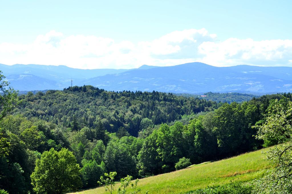 Haus Schoenegger Kitzeck im Sausal Εξωτερικό φωτογραφία